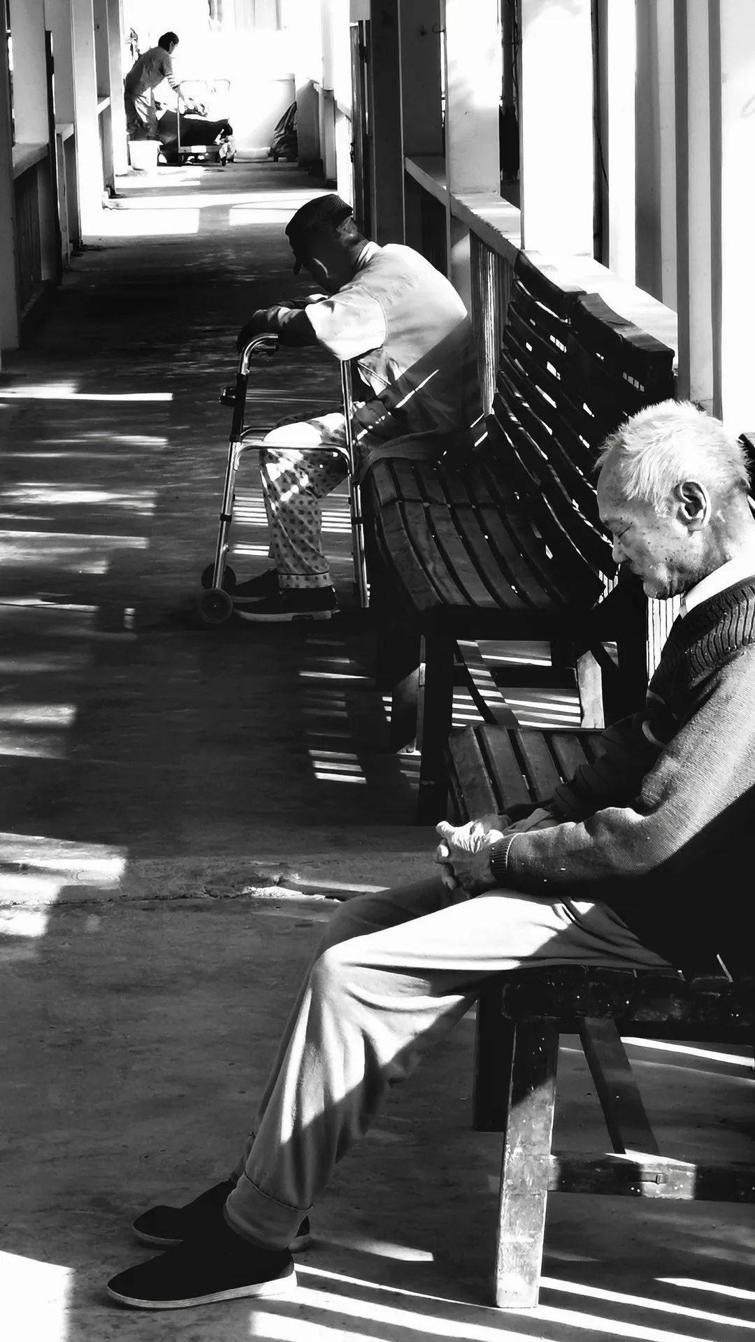 李丹宇  《水墨江南》单幅王晨雪  《头顶的舞者》单幅张权奥  《含苞