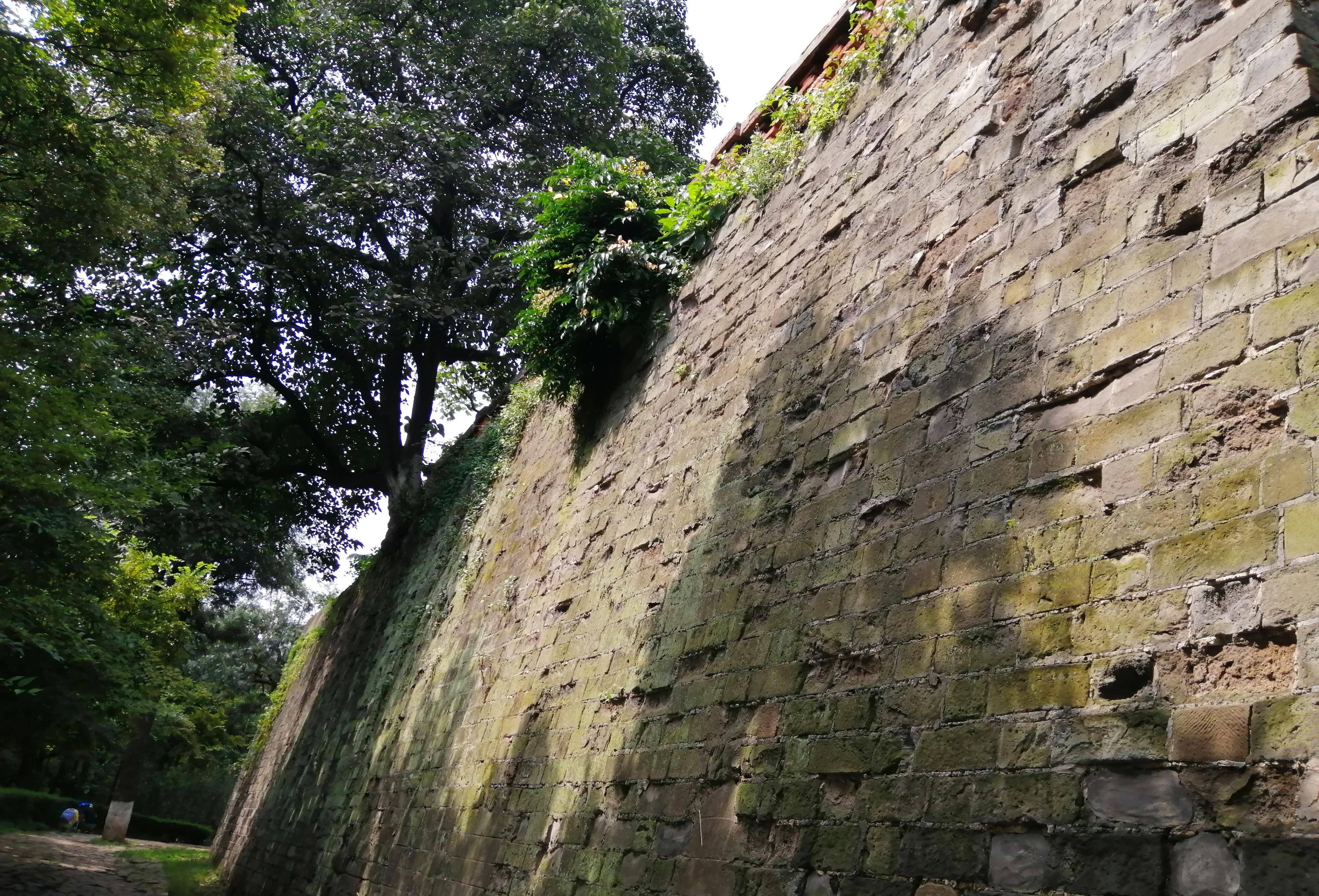 不用羡慕别人家,因为昆明城里也有一段明朝古城墙