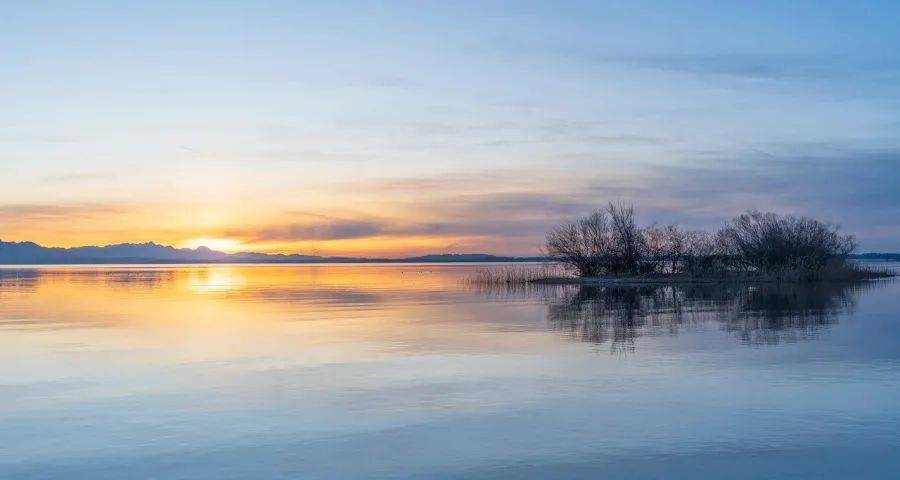彩电市场的大屏化引擎今年要失灵了?-家电圈官网