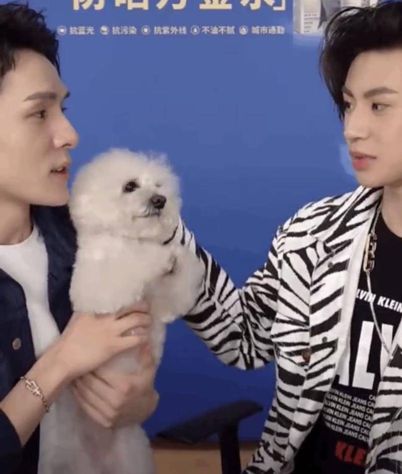 小鬼王琳凯做客李佳琦出镜间,将never拥入怀中,粉丝:开始羡慕狗了