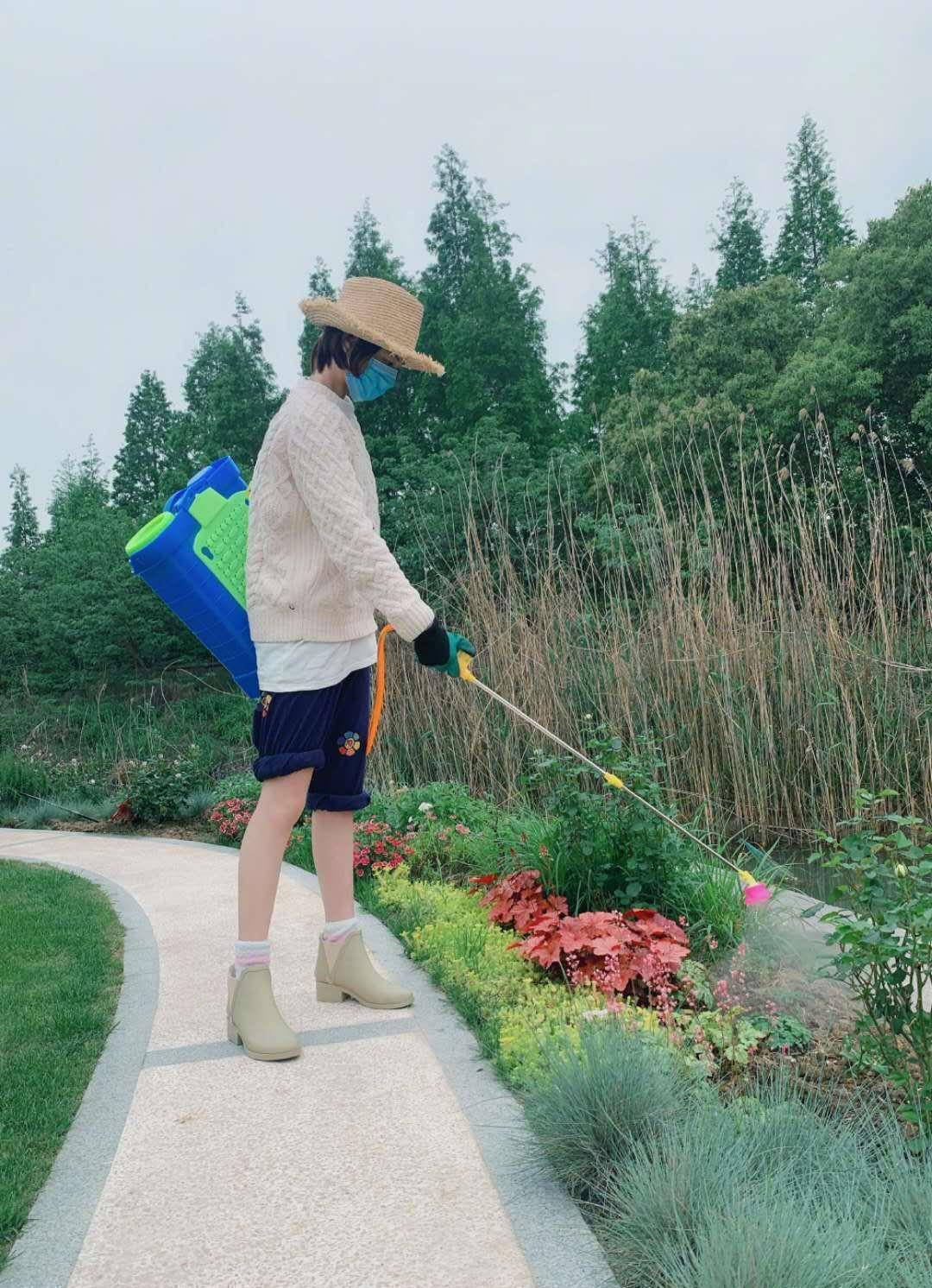 张馨予变勤劳小蜜蜂,清早洒农药裤腿一高一低露出纤细小腿,园子堪比