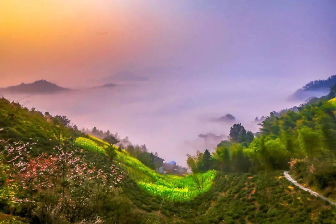 歙县新安江山水画廊,大洲源/婺源江岭梯田等2024年徽