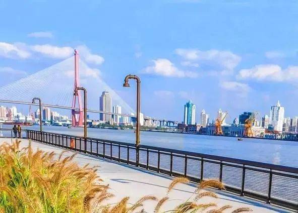 瑞安翠湖滨江-杨浦瑞安翠湖滨江楼盘详情-瑞安翠湖滨江户型-容积率