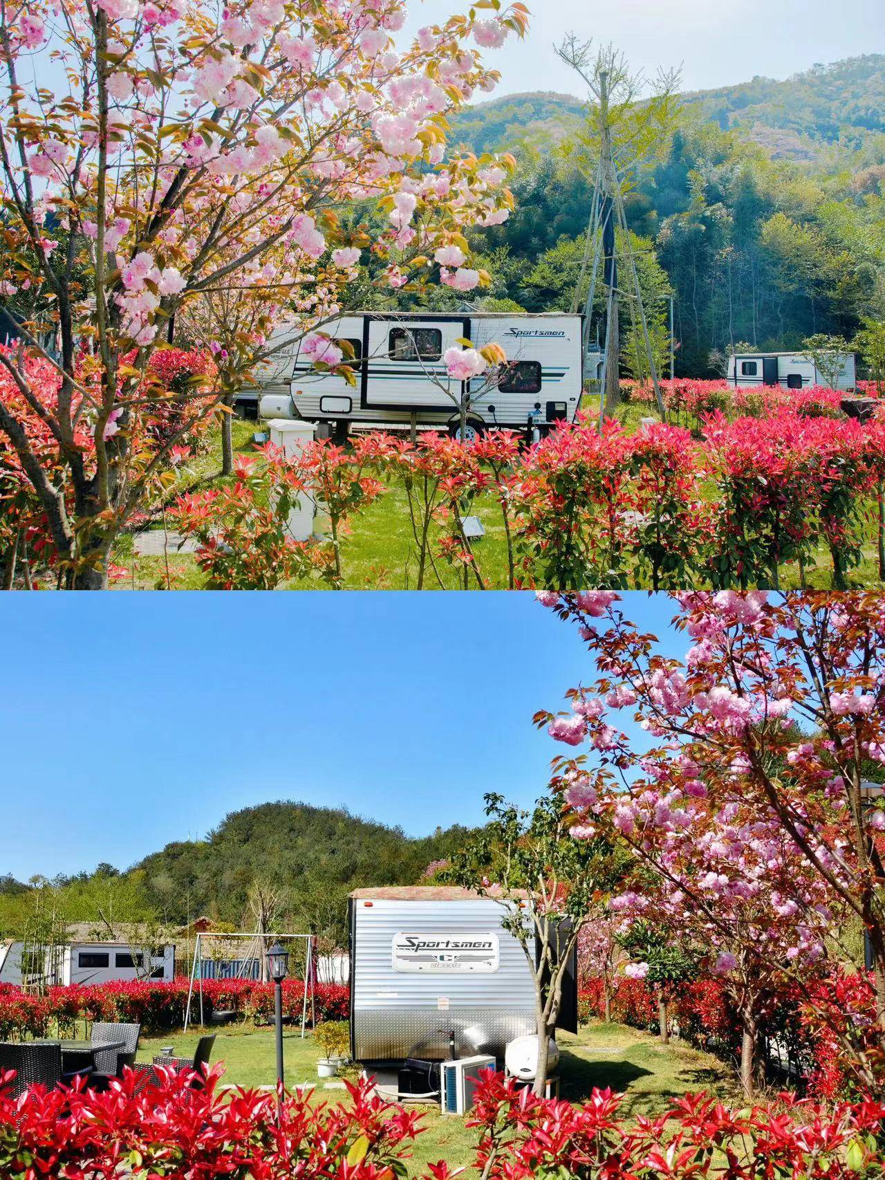 宁波小众露营地,第二张起保证你疯狂心动_悬崖_樱花_山野