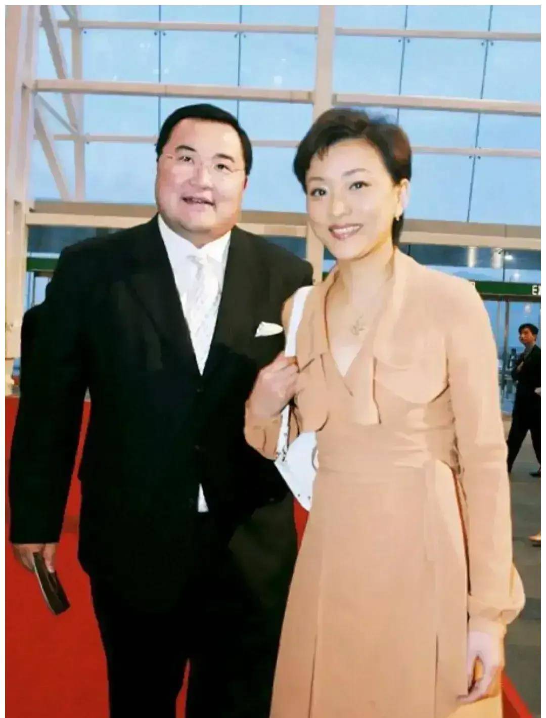 杨澜:与张一兵分手后,转身嫁给百亿富豪,她到底经历了什么?