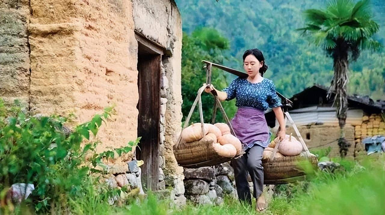 福建村妇:23岁离婚,25岁办厂,30岁破产,返乡后被央视点名表扬_沈丹