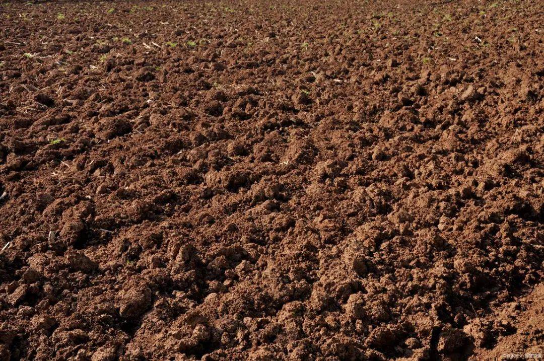 土壤_微生物_农业