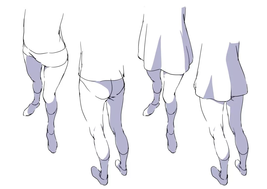 给你一学就会的腿部绘制技巧!_形状_肌肉_大腿