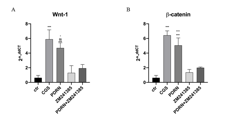 【文献解读】pdrn对银屑病皮肤症状的改善作用-循证医学研究院_炎症