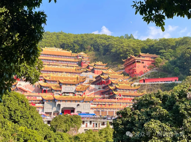 每天了解一个繁华都市—东莞_广东省_城市_制造业