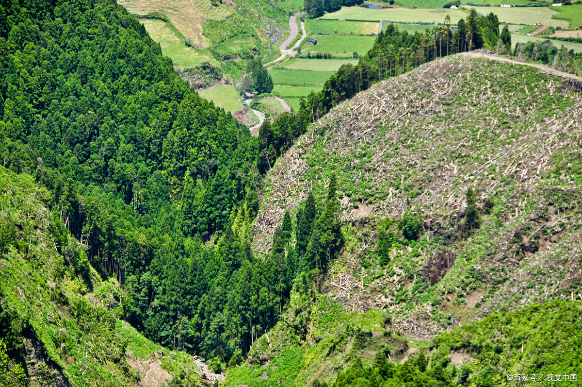 报考水土保持工程师证书有啥流程?含金量高吗?拿证周期多久?