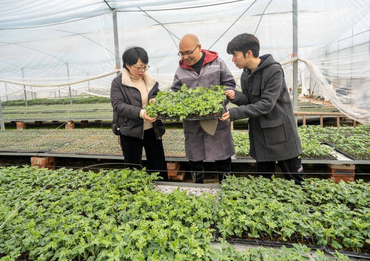 国货品牌背后的特殊力量:一盛物理农业入选《国货档案》_技术_发展