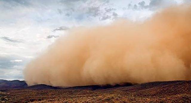 极度的干旱使得澳大利亚无法经受沙尘暴的袭击,1983年一场沙尘暴席卷