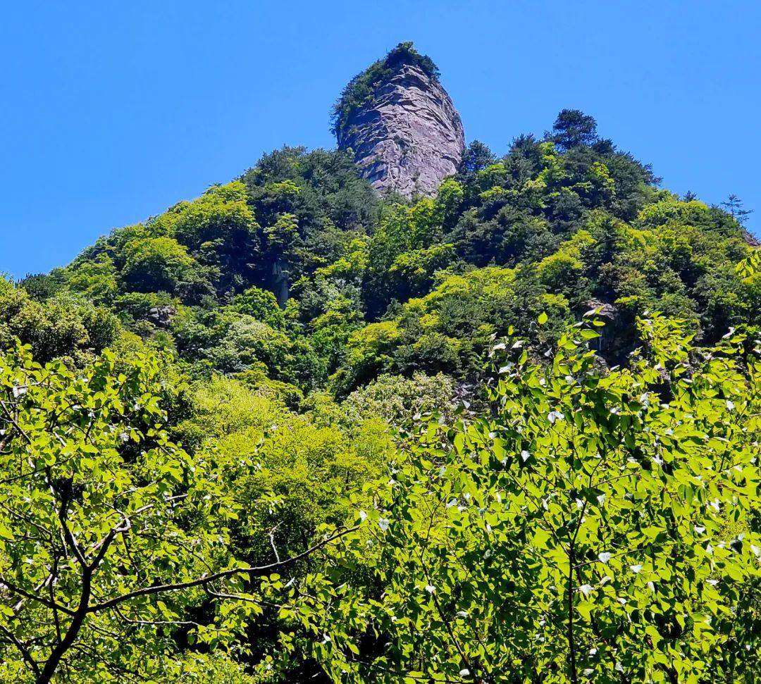 青峰峡国家森林公园图片