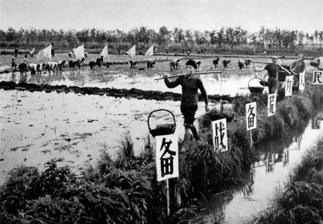 回忆知识青年奋战北大荒,纪念那个一去不复还的年代_土地_中国_地方