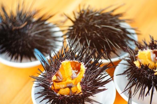 原创日本人最懂吃海胆吗不当然不是中国才是吃海胆的高手