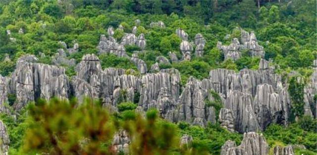 原创地广人稀政策主观意愿为何明朝江西人口大量迁移湖广