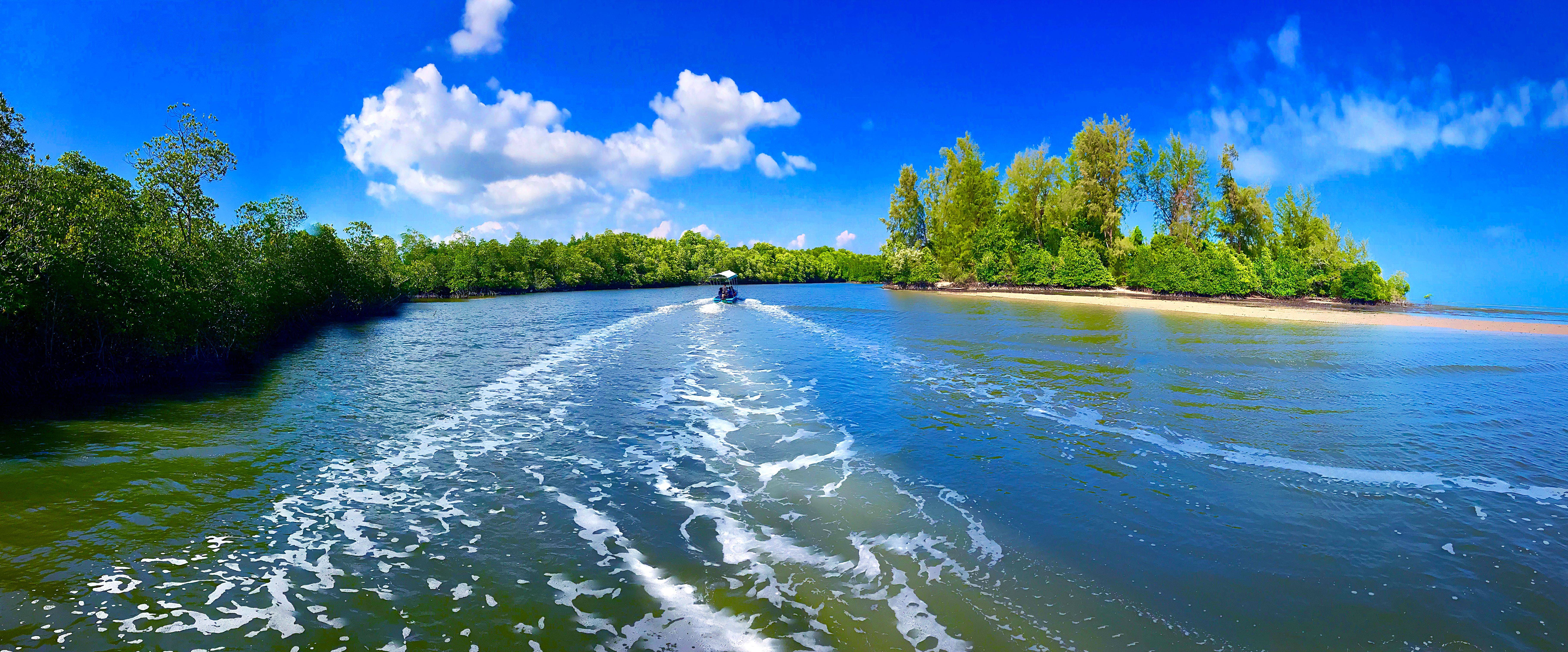柬埔寨七星海的生态保护计划:未来的绿色奇迹