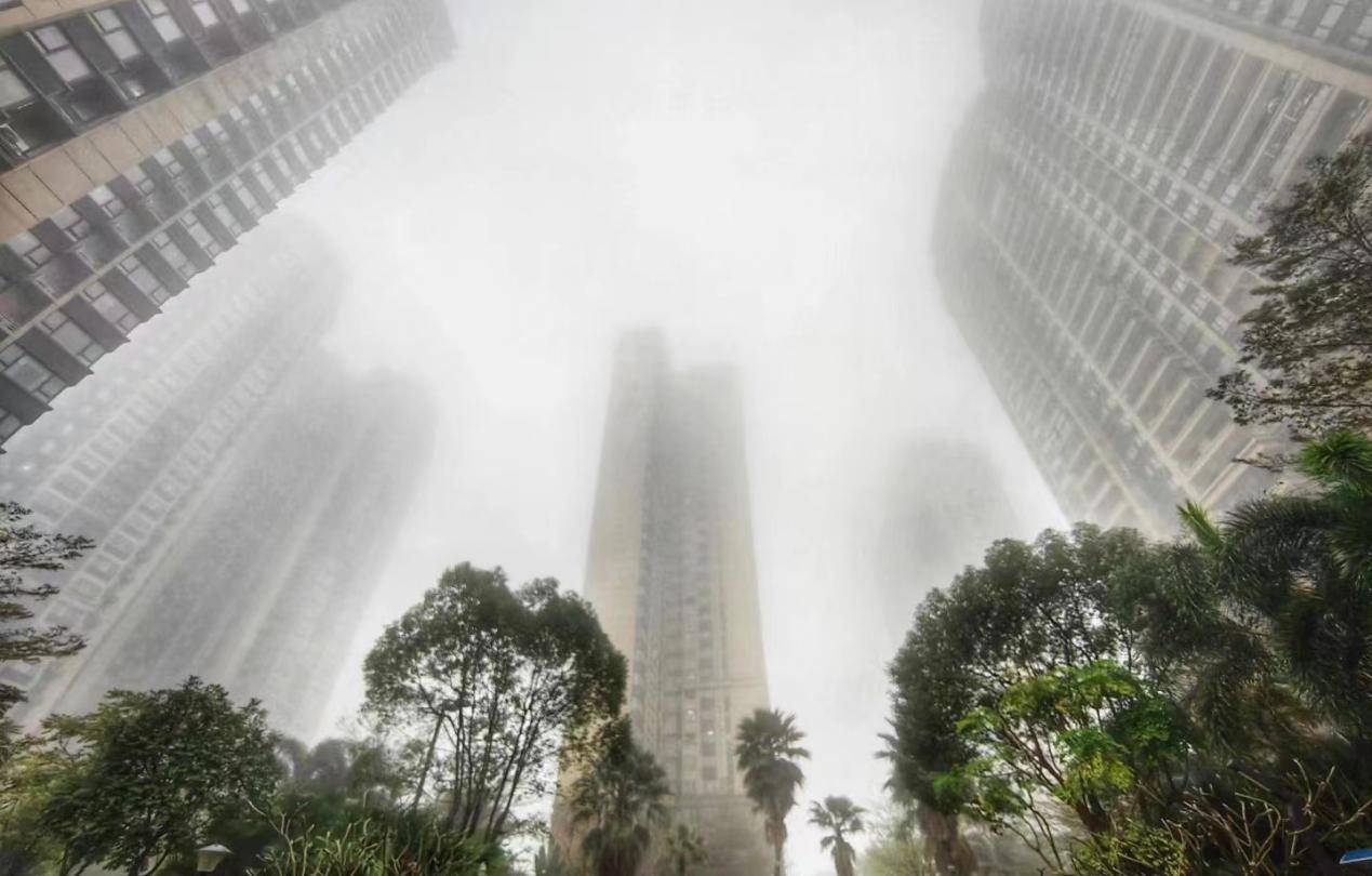 当"惊蛰"遇到回南天,是爱还是emo?_广西_桃花_数字