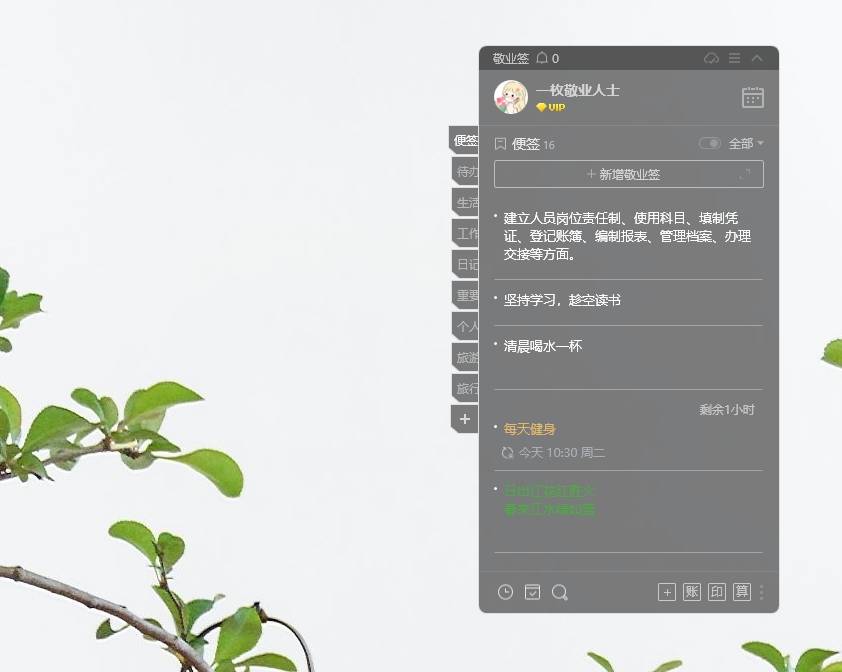 网盘上是不是纪事？那款白板应用软件能在笔记本电脑上纪事