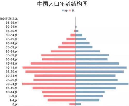 2050年中国人口结构图图片