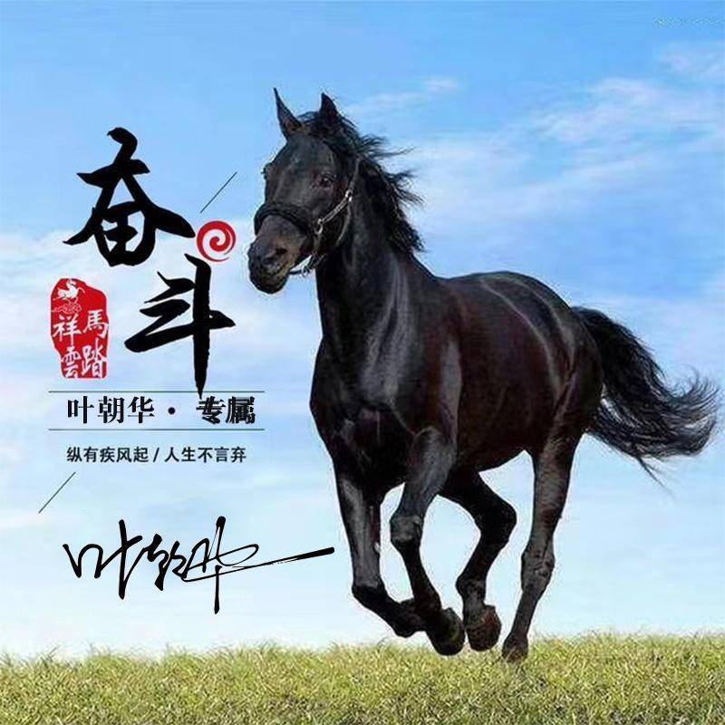 2024精选姓氏头像,80张励志个性签名头像,请查收_评论_壁纸_公众
