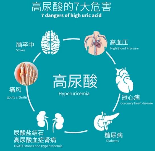 高尿酸的危害高尿酸血症是指在正常饮食状态下,两次空腹血尿酸水平