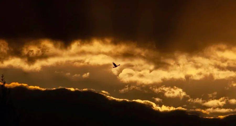 线下实体店的家电越卖越贵背后-家电圈官网