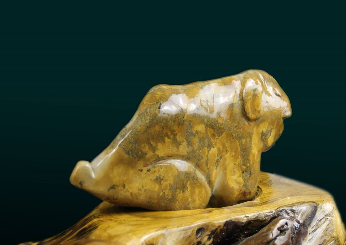 奇石也将迎来春天,这17种奇石是最好的选择_价值_是一种_画面石