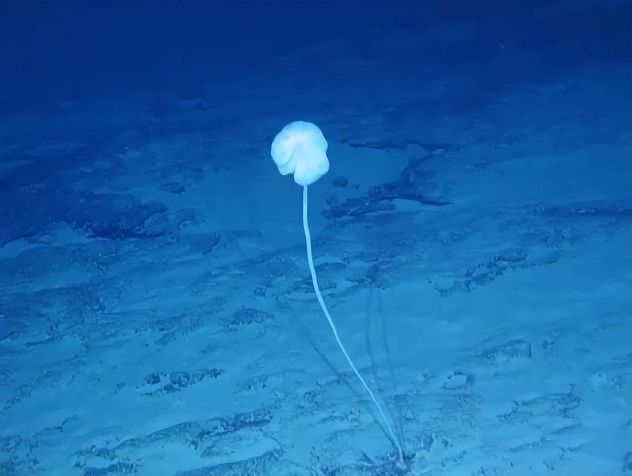 原创从小镇姑娘到双龙骑士她从不为自己的人生设限