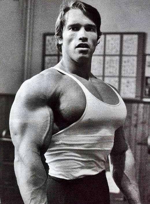 玩健身,拍电影,当州长,好莱坞巨星阿诺,一生都活得很精彩_健美_肌肉