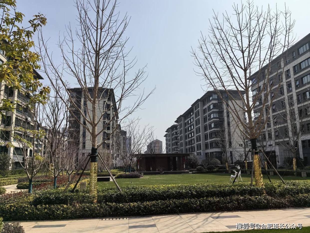 一个以8层洋房为主的低密住宅实探合肥省府北的琥珀晴川里