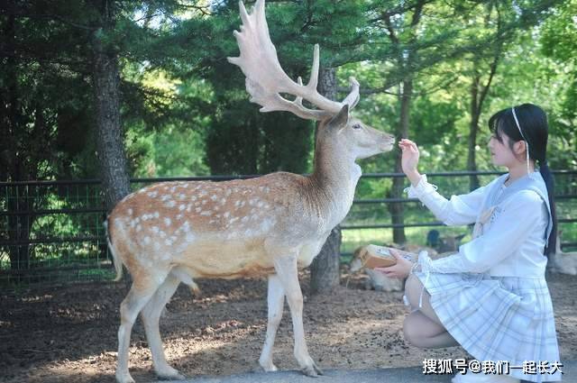 妇女节来济南野生动物世界浪漫约惠