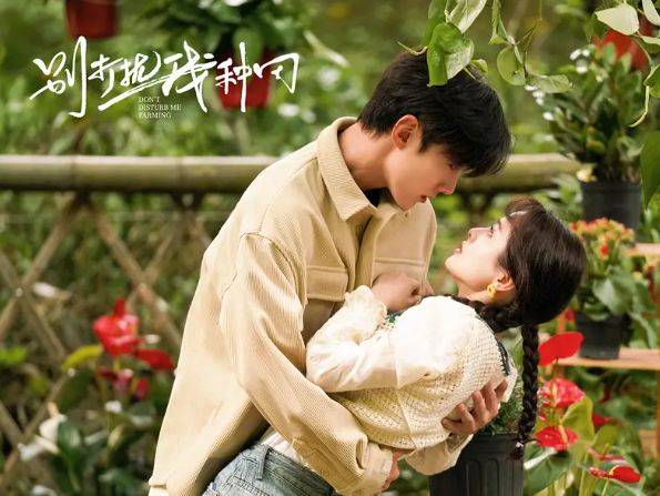 电视剧《别打扰我种田》在芒果tv全集上线_生活_观众_农村