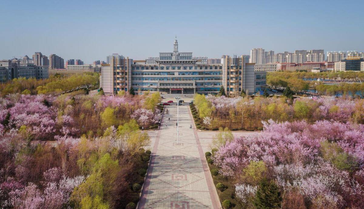 管州大学新校区的美,春有海棠千万,夏有杨柳翠绿,秋有银杏斑斑,冬有