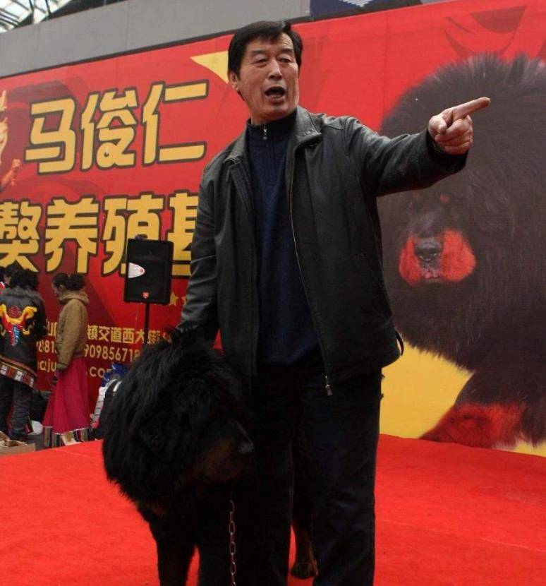 原创藏獒泡沫是怎么破灭的巅峰时一条就能换北京2套房
