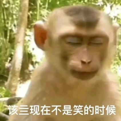 离谱程度刷新下限今年的回南天让南方人和猫都摔进骨科了