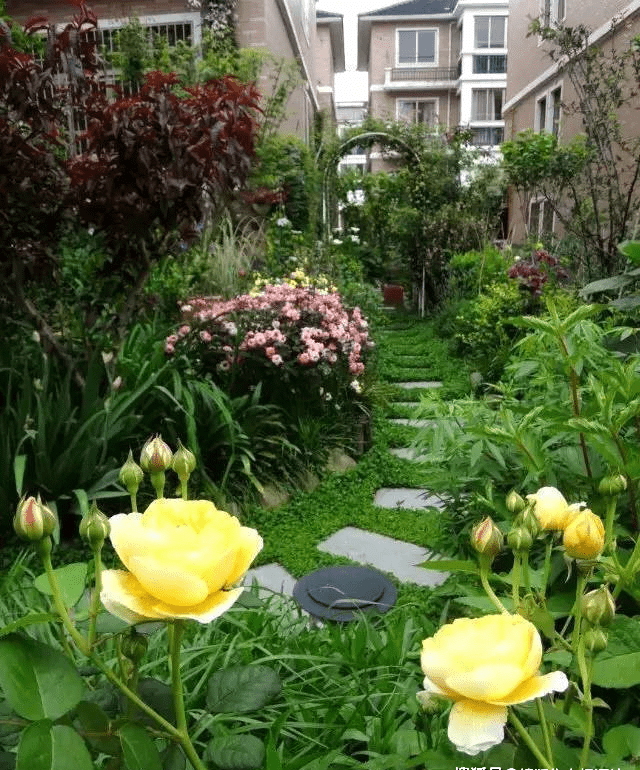 海盐北荡家苑香樟苑