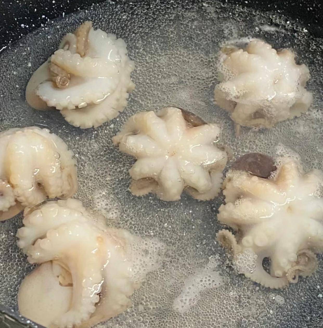 原创八爪鱼煮熟嚼不动老渔民指出错误教你2个技巧鲜香脆嫩