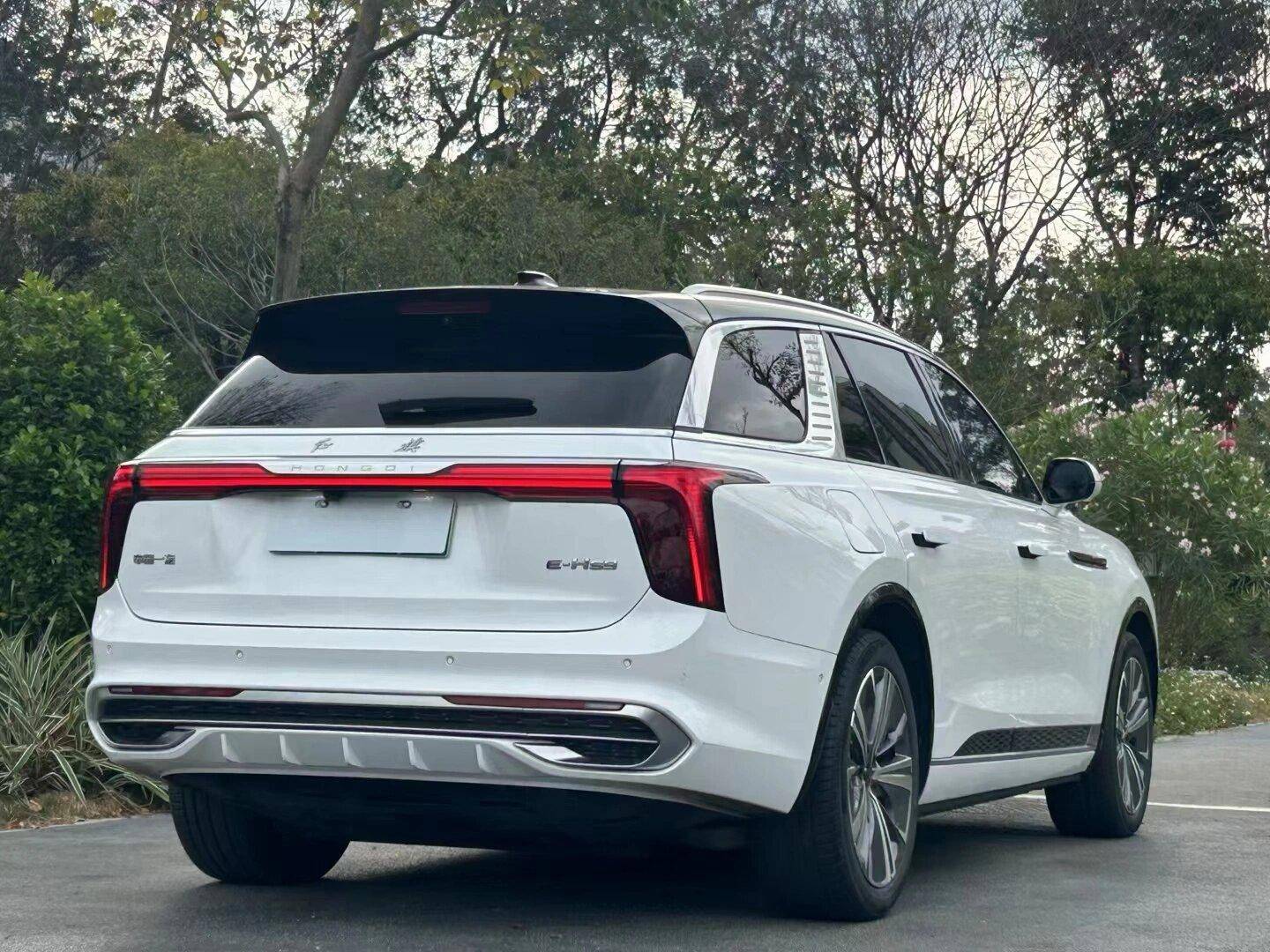 98万元起!产品力进一步增强,红旗e-hs9正式上市_搜狐汽车_搜狐网