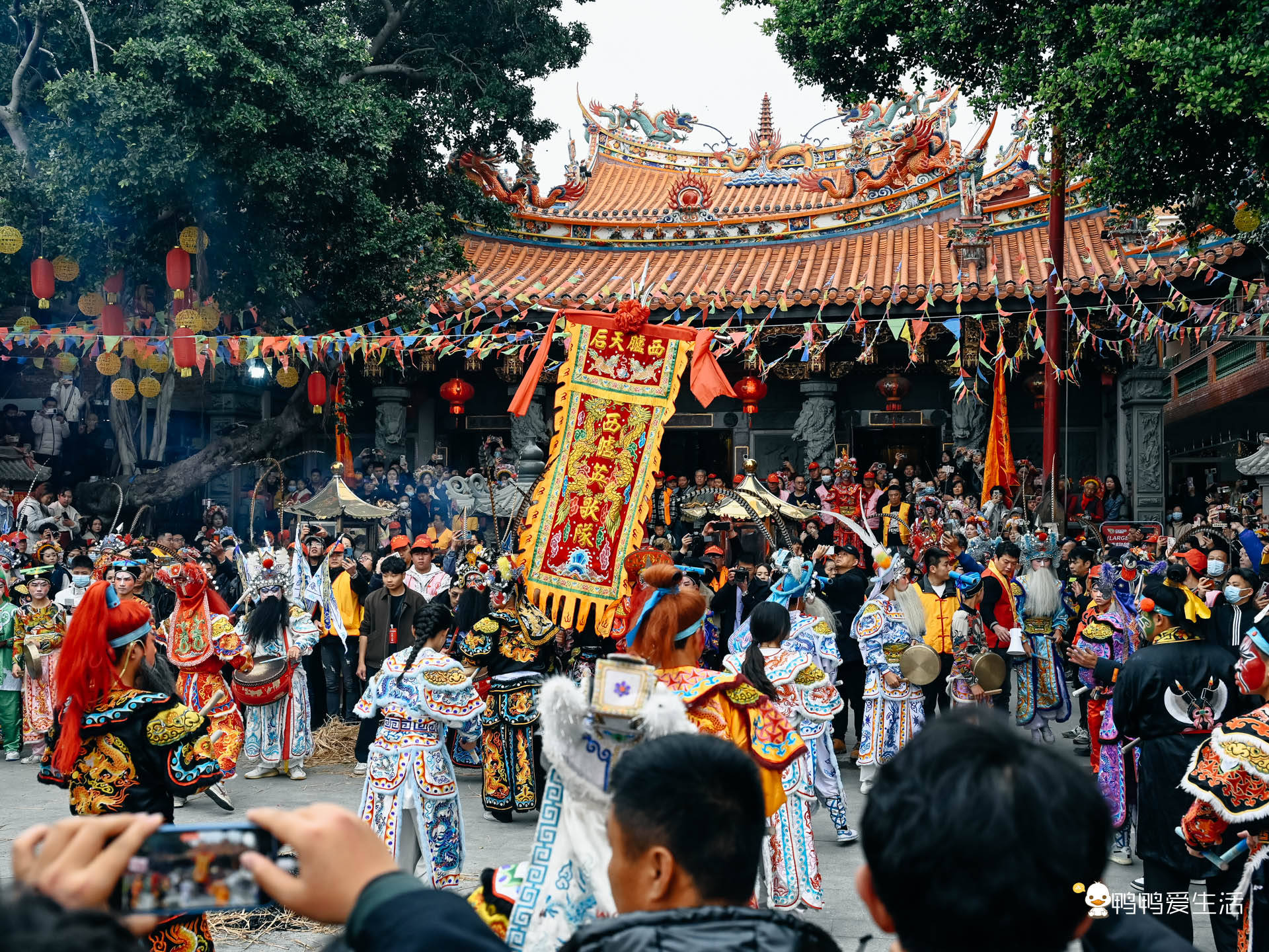 泉州蟳埔:妈祖天香巡境汇聚成一片流动的花海,场面空前盛大