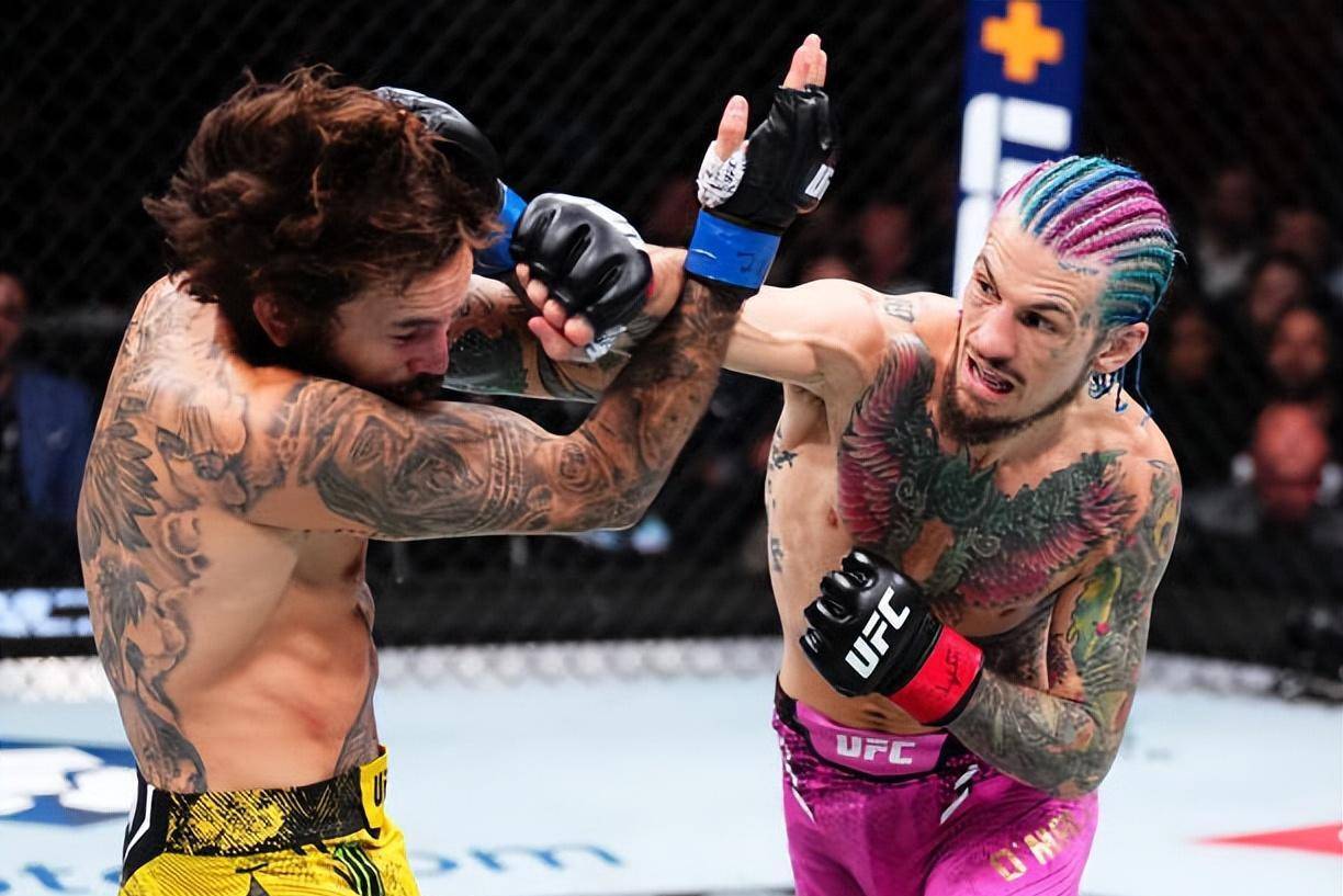 此次的头条赛事是ufc雏量级冠军赛,现任冠军肖恩·奥马利(18-1,12k,1s