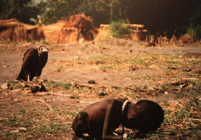 1994年《饥饿的苏丹》获得了新闻界最高的奖项——普利斯新闻特写摄影