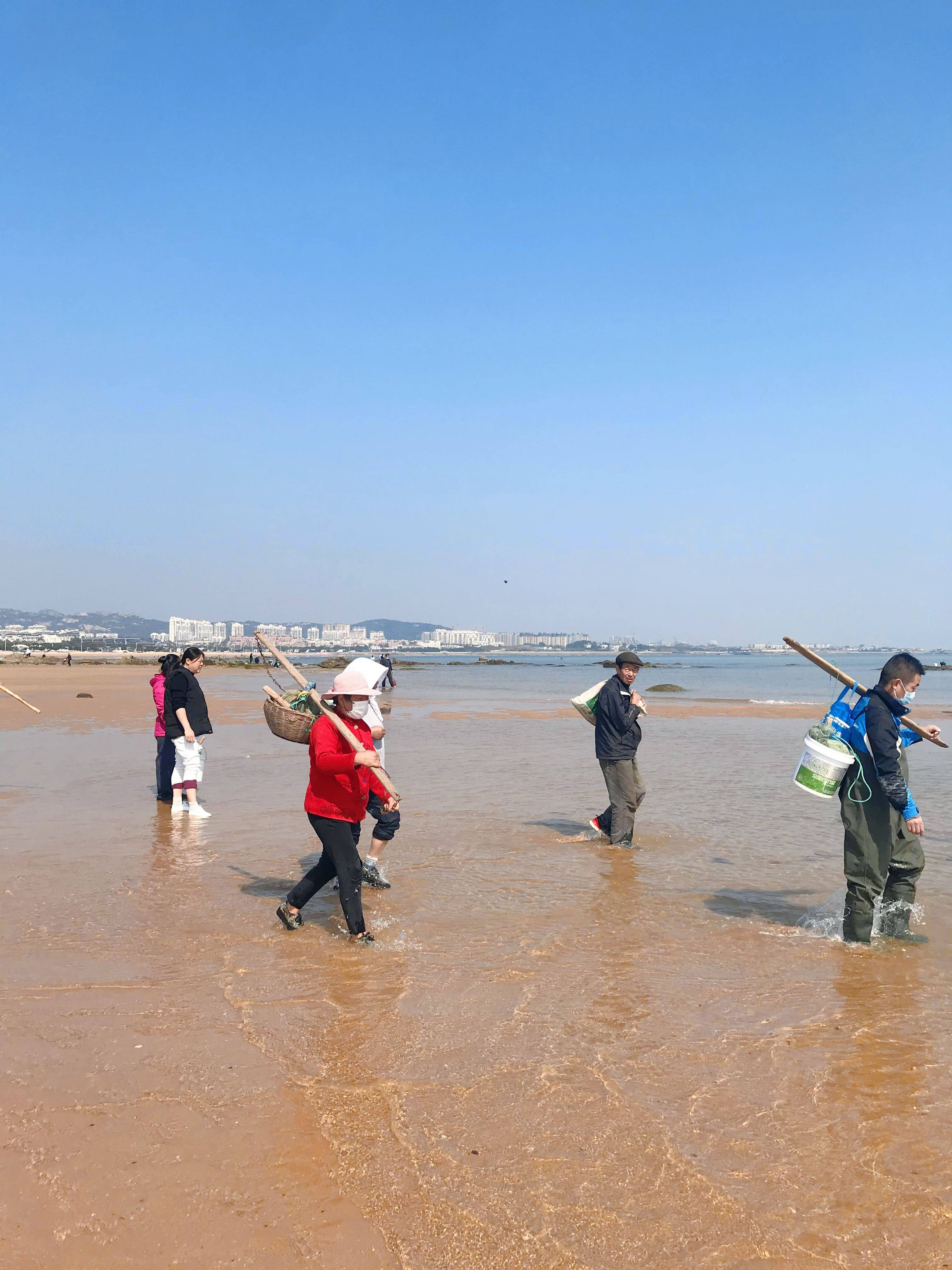 日照岚山多岛海赶海图片