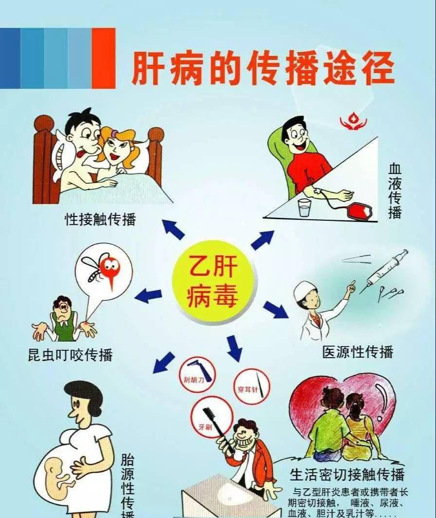 乙肝的三个传染途径_传播_hbsag_母亲