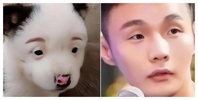 和李荣浩一样,孙红雷的眼睛也是很小,但是他常常演黑老大,有着自带