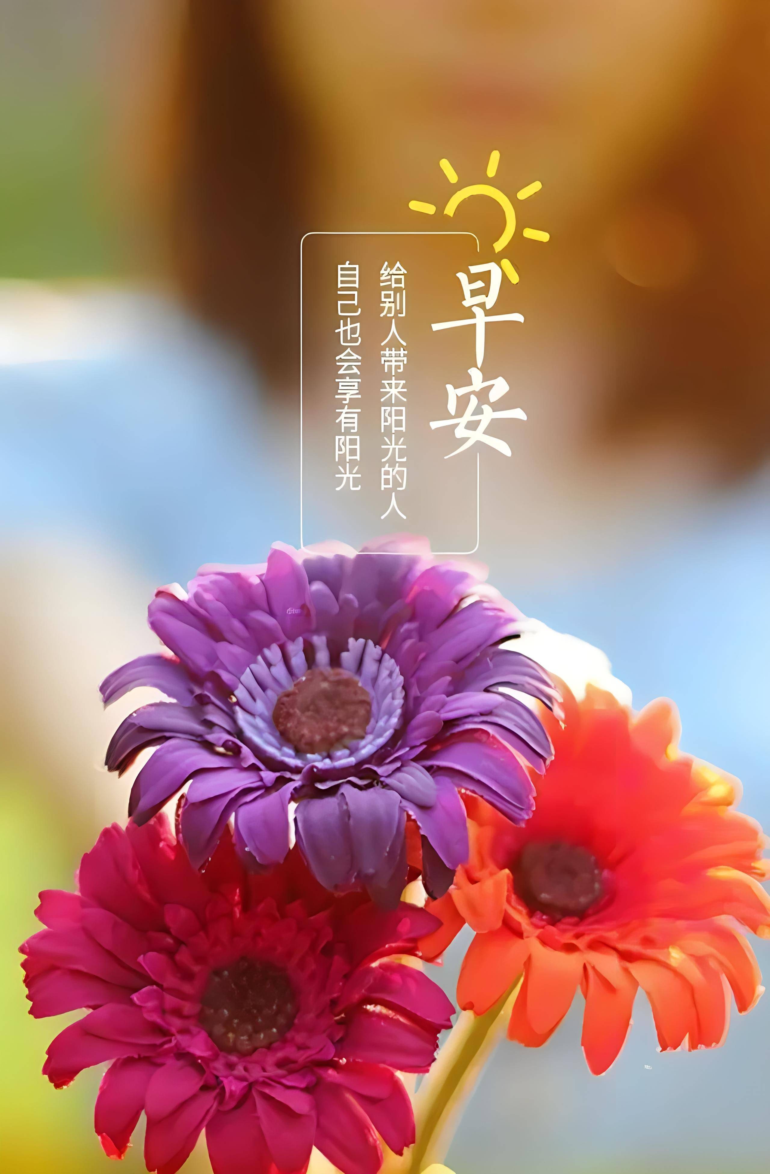 原创2024年二月初三早安唤醒你的不仅是阳光还有这22句暖心祝福