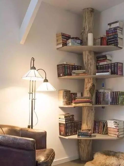 捡来一根枯树条,装饰达人让你家充满艺术气息,没想到这么美_书架_生活