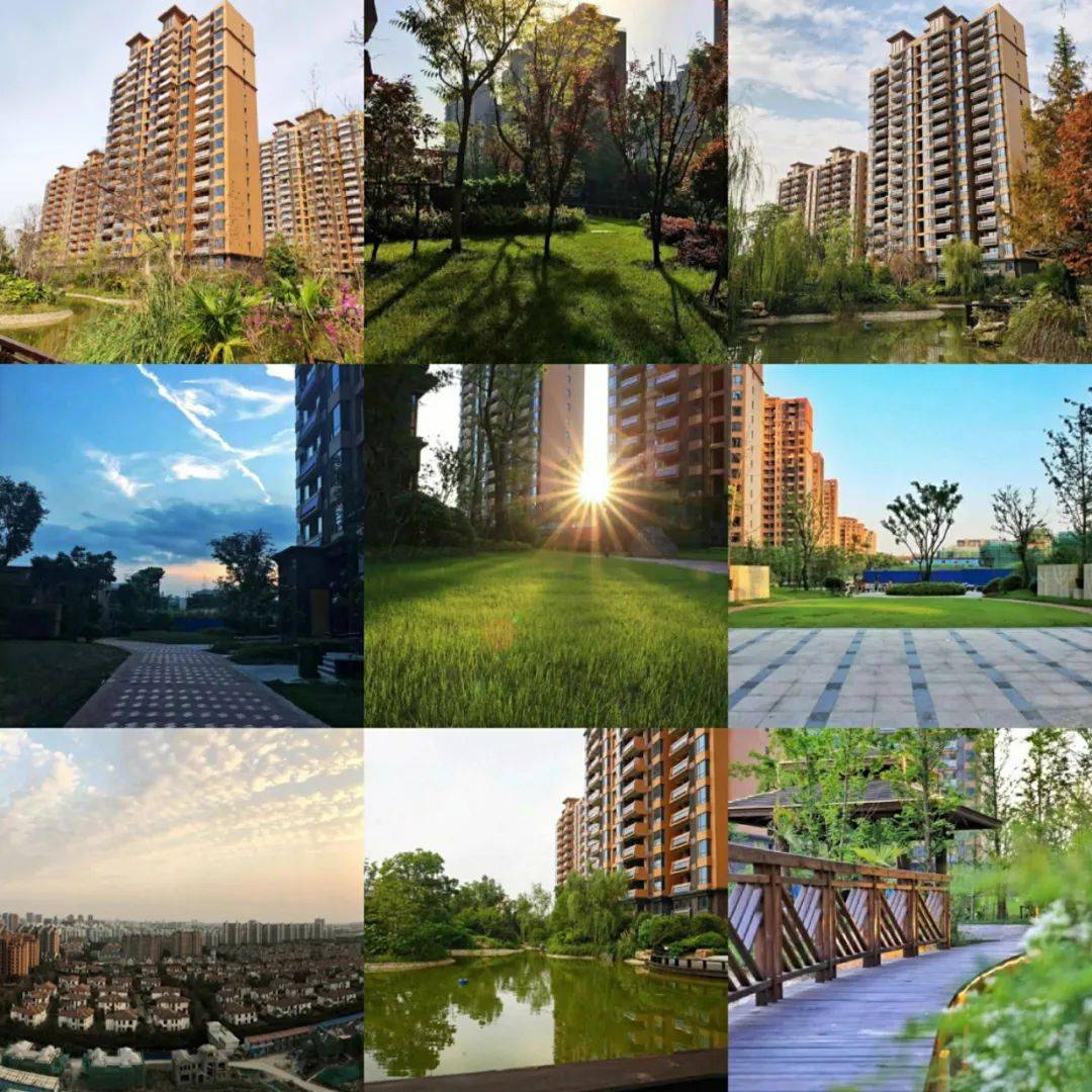 新虹桥首府(松江新虹桥首府)新虹桥首府首页网站|楼盘详情 /户型/小区