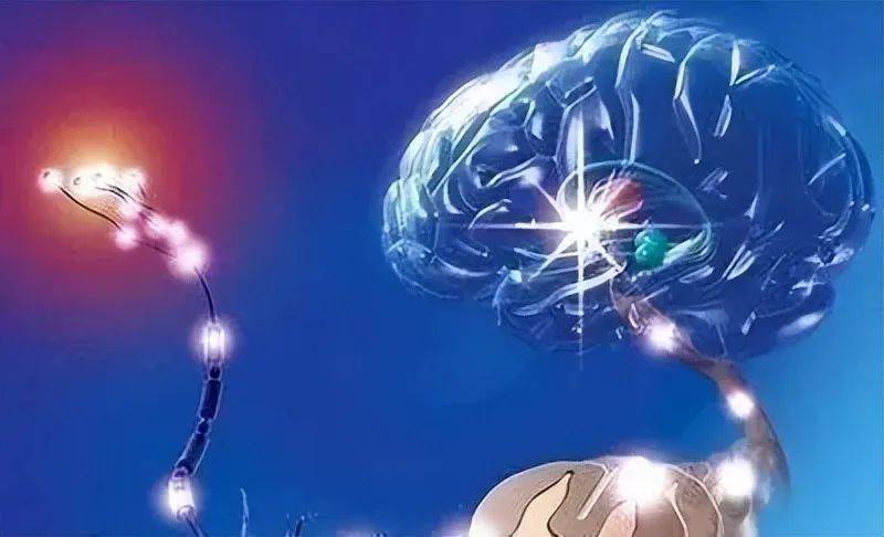 原创神秘现象揭秘夺舍真的存在脊髓移植的意外发现让人震惊